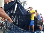 Tera-feira: Safra da tainha comea com baixa expectativa no Litoral Norte de SC