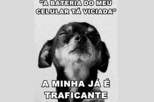 (Divulga��o)