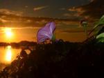 O reprter fotogrfico, Marcos Porto, registrou o amanhecer do dia 23 de maio, em Itaja, cidade do Litoral Norte catarinense