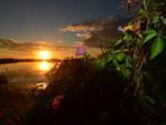 O reprter fotogrfico, Marcos Porto, registrou o amanhecer do dia 23 de maio, em Itaja, cidade do Litoral Norte catarinense