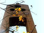 A torre da Catedral So Paulo Apstolo vista pelos olhos dos blumenauenses