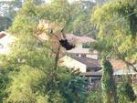 Pndulo Humano aconteceu neste sbado e domingo, dias 8 e 9, na Ponte de Ferro no Centro de Blumenau