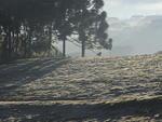 Amanhecer gelado na localidade de Vila Seca, em Caxias do Sul, municpio do Rio Grande do Sul