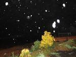 Neve cai em So Joaquim