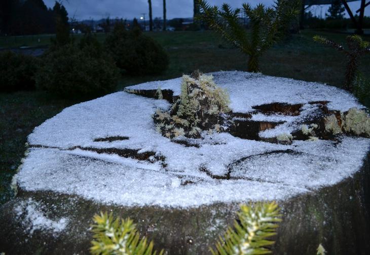 Neve em São Joaquim, na Serra catarinense:imagem 5