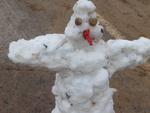 Neve em Vitor Meireles. Foto e descrio enviadas pelo leitor.