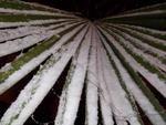 Neve em Caador