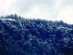 Neve em Apina. Foto e descrio enviadas pelo leitor.