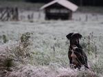 Registro de neve em So Miguel do Oeste, no extremo oeste catarinense