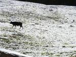 Neve na localidade de Santa Maria, em Benedito Novo