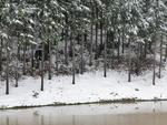 Neve na barragem de Alto Cedros, em Rio dos Cedros