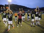 Metropolitano vence e se classifica ao mata-mata na Srie D. Time verde bateu o Botafogo (SP), por 1 a 0, no Estdio do Sesi, dia 25 de agosto