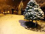 So Joaquim amanhece coberta pela neve