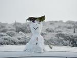 Bonecos de neve encantam a paisagem
