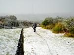 Moradores praticam Snowboard em Urubici