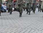 Desfile na Rua XV de Novembro teve 20 bandas e fanfarras, 10 carros alegricos e reuniu mais de mil espectadores  