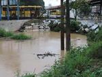 Blumenau - Voc pode mandar imagens pelo email participe@santa.com.br