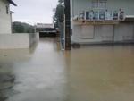Blumenau - Voc pode mandar imagens pelo email participe@santa.com.br
