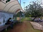 Manh de sol atraiu blumenauenses para o Parque Ramiro Ruediger, em Blumenau