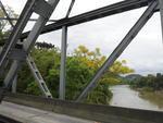 Guarapuvus floridos nas margens do Rio Itaja-A, em Blumenau