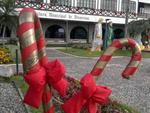 Alm do prdio e do jardim na frente da prefeitura, no Centro da cidade, a Ponte de Ferro, a Fundao Cultural de Blumenau e a Casa do Comrcio tambm sero enfeitados. As luzes natalinas sero acesas dia 14, quando ter incio a programao do Magia de Natal  