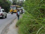 O Santa regostrou alguns buracos e mato nas ruas de Blumenau. Confira a galeria e se no caminho por onde voc passa o problema se repete, envie uma foto para geral@santa.com.br    