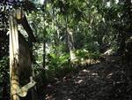 Aps cinco anos fechado, Parque Natural So Francisco de Assis ser reaberto em janeiro de 2014