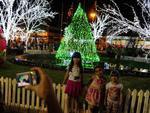Entre as atraes da Weihnachtsdorf esto a rvore Solidria e o Calendrio Natalino, alm da tradicional oficina da Famlia Noel, o Bosque dos Prespios, o Caminho das Neves, a Estao e o palco cultural. O horrio de visitao  de segunda a sexta-feira, 17h s 23h, e sbados e domingos, das 11h s 23h. A entrada  gratuita