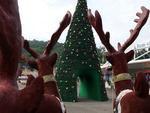 A Vila de Natal, montada no Parque Vila Germnica, em Blumenau, funcionar at dia 6 de janeiro de 2014. O horrio de visitao  de segunda a sexta-feira, das 17h s 23h, e sbados e domingos, das 11h s 23h. A entrada  gratuita