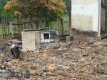 ndios so suspeitos de incendiar casa de Luiz Carlos Orsi, na comunidade de Bonsucesso, em Itaipolis