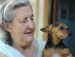 Cachorros e gatos so abandonados na Nova Rssia, em Blumenau