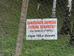 Cachorros e gatos so abandonados na Nova Rssia, em Blumenau