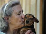 Cachorros e gatos so abandonados na Nova Rssia, em Blumenau