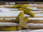 Local abriga os programas de tratamento de hansenase e tuberculose. Materiais foram espalhados e terra foi jogada em cima das mesas