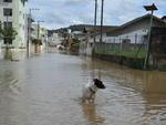 Rio do Sul  Cheias atingem seis bairros e deixam 53 pessoas em abrigos
