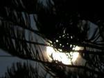 Leitores enviam foto da lua no Vale do Itaja.