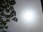 Cinzas de vulco chileno chegam ao Vale do Itaja, leitores enviam fotos.
