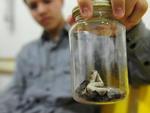 Hospital Santo Antnio faz aniversrio e reportagem do Santa acompanha a rotina do local nos trs turnos da casa