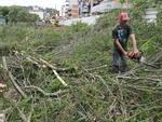 Corte da mata para abertura de rua nos fundos do Parque Ramiro Ruediger