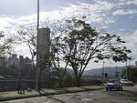 Manh de Sol em Blumenau.