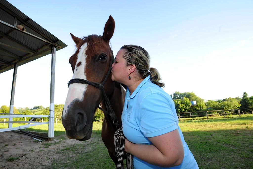 Cavalos ajudam na saúde física e mental com atividades em MT, Mato Grosso