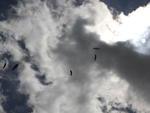 20 Festival de Parapente. Edio especial de 20 anos. Acontecer nos dias 14 e 15 de maio em Gaspar SC.