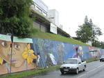 Grafiteiros comeam a pintar o muro do Jornal de Santa Catarina em comemorao aos 45 anos do Santa.