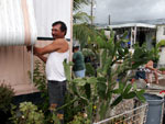 Americano refora janelas de sua casa para proteger famlia da tempestade tropical, em Whale Harbor. Fenmeno deixou o territrio cubano e segue para o oceano Atlntico rumo aos EUA