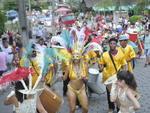 Desfile de carnaval da escola Unidos do Salto do Norte na rua Johann Sachse em Blumenau