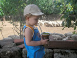Marco Aurelio Trindade da Fontoura, 2 anos, tomando seu chimarro e cuidando das ovelhas 