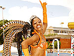 Helena Beatriz Fernandes, da Imperatriz Dona Leopoldina 