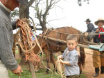 O menino Joo Pedro da Cunha  o mascote da Cavalgada