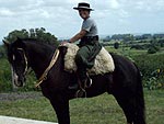 Meu filho, Gabriel, montado num cavalo crioulo, um dos cones das tradies gchas, na chcara do av, onde mantemos nossos cavalos