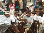 O cavalos foram largamente utilizados em guerras, especialmente na Revoluo Farroupilha